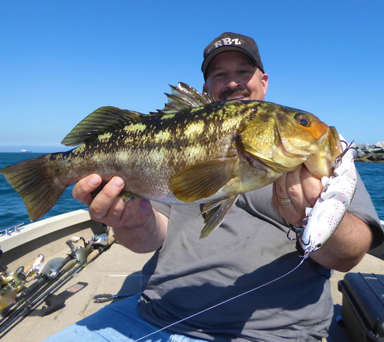 Calicos Eat BBZ-1 6" Trout After Plant..........Wait/What/Come Again?