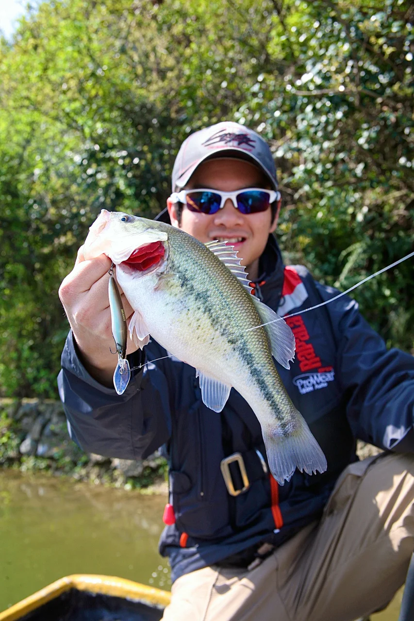 Power Fishing Suspending Finesse Jerkbaits: Jiande, Eastern China