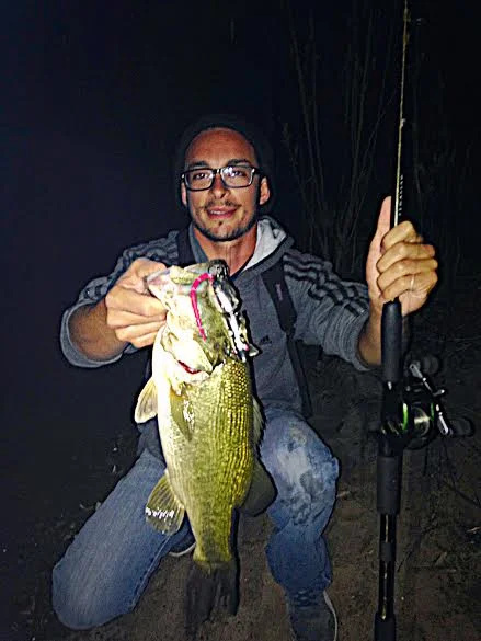 Stan Kaplun's Checking In With A BBZ-1 Rat Update