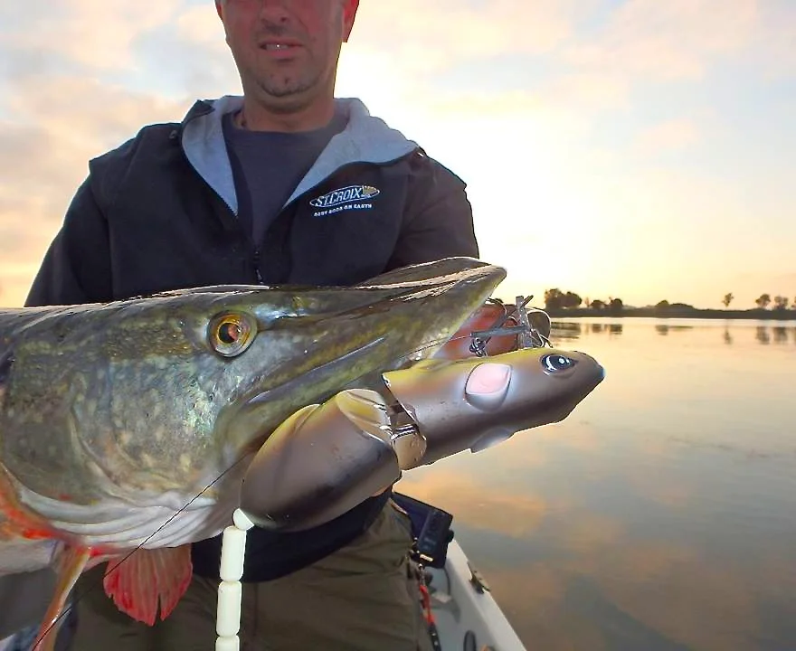 Kris Deckx From Belgium Takes On Pike With BBZ-1 Rat 50!