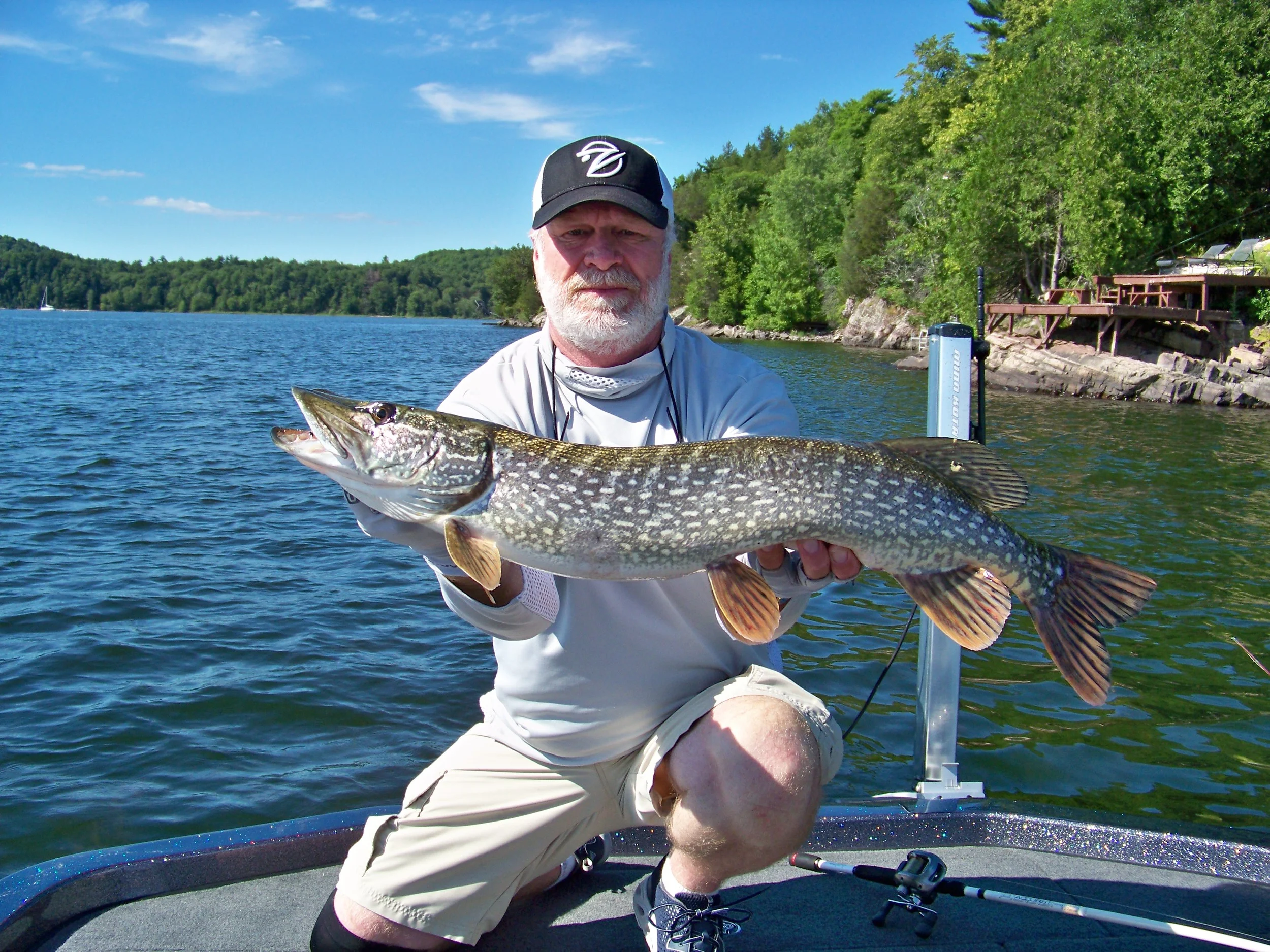 Swimming a Zoom Toad on a keel weighted wide gap hook through grass and reeds in Malletts Bay produced this modest pike. 