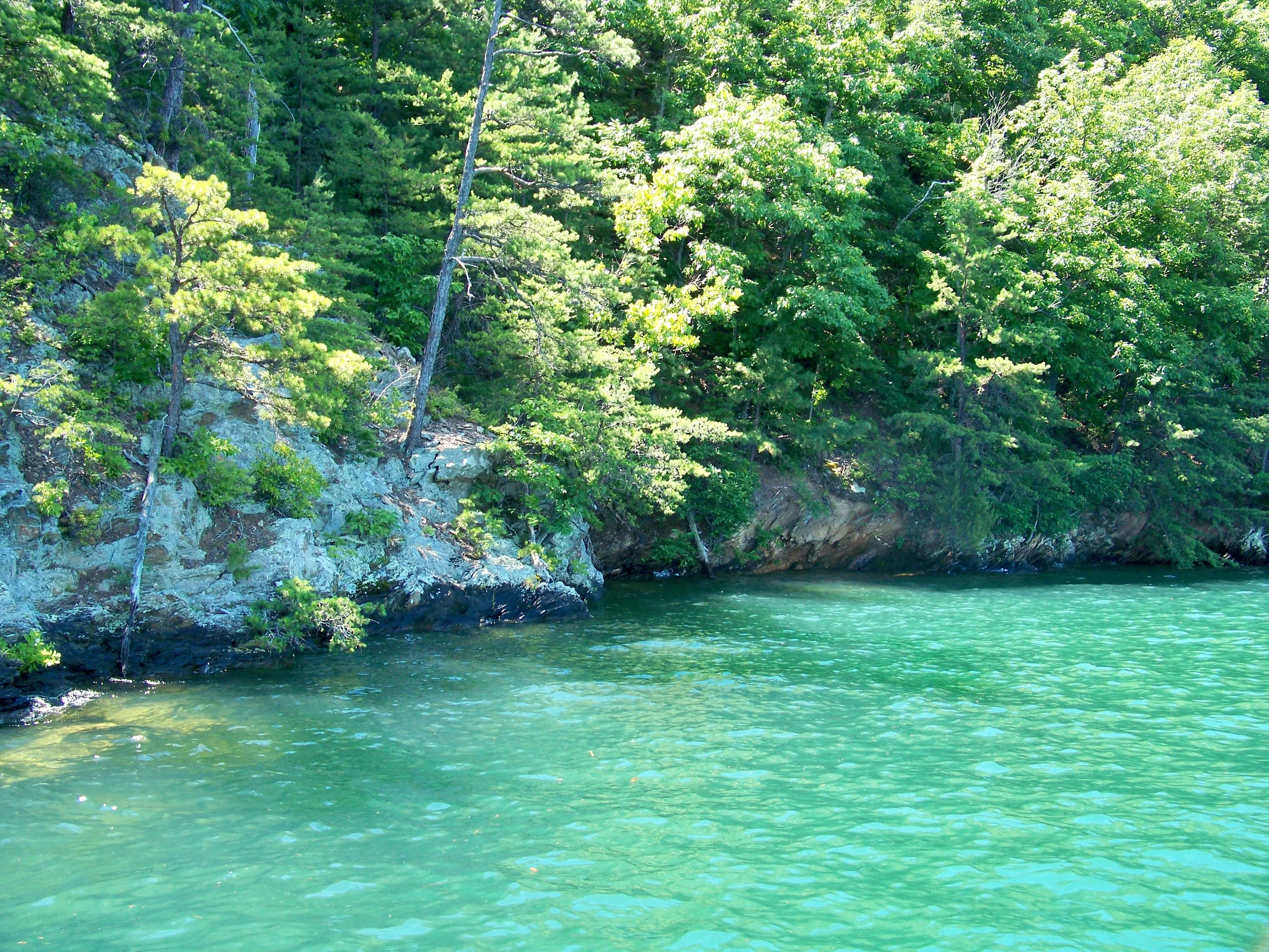 This steep shoreline with submerged boulders, overhanging tree limbs and shadows looks worthy.