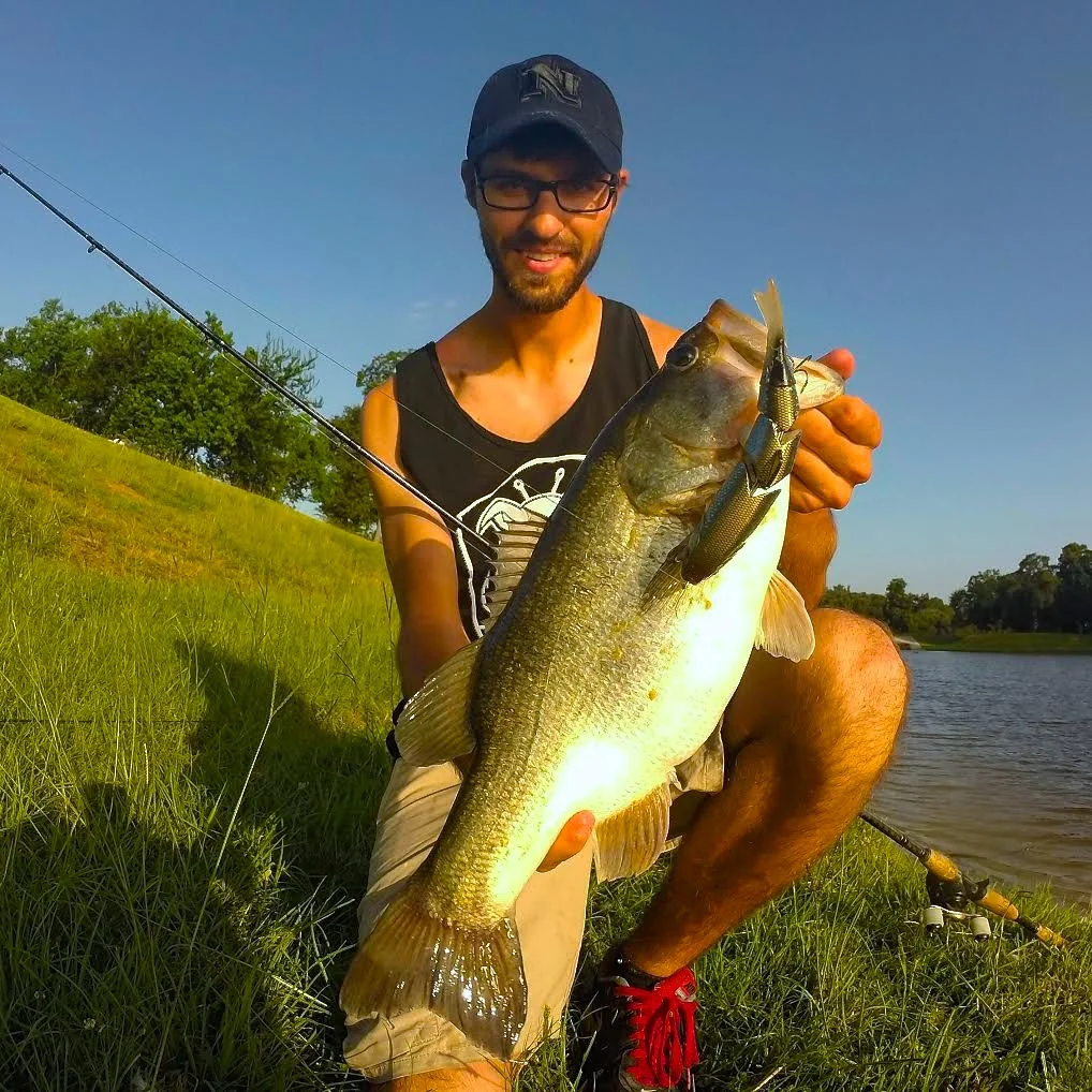 Tyler Kleeb Fishes Deep With The SPRO BBZ-1 6"