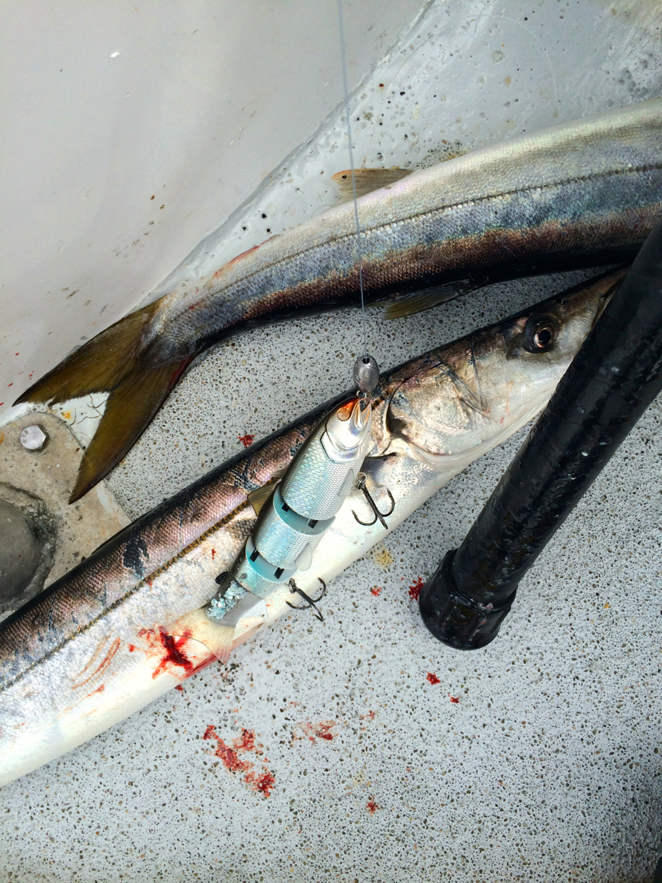 Hollywood Producer Farid Nassar (Fredwreck) Thinks "OutSide The Box" For Some Pedro Cuda's