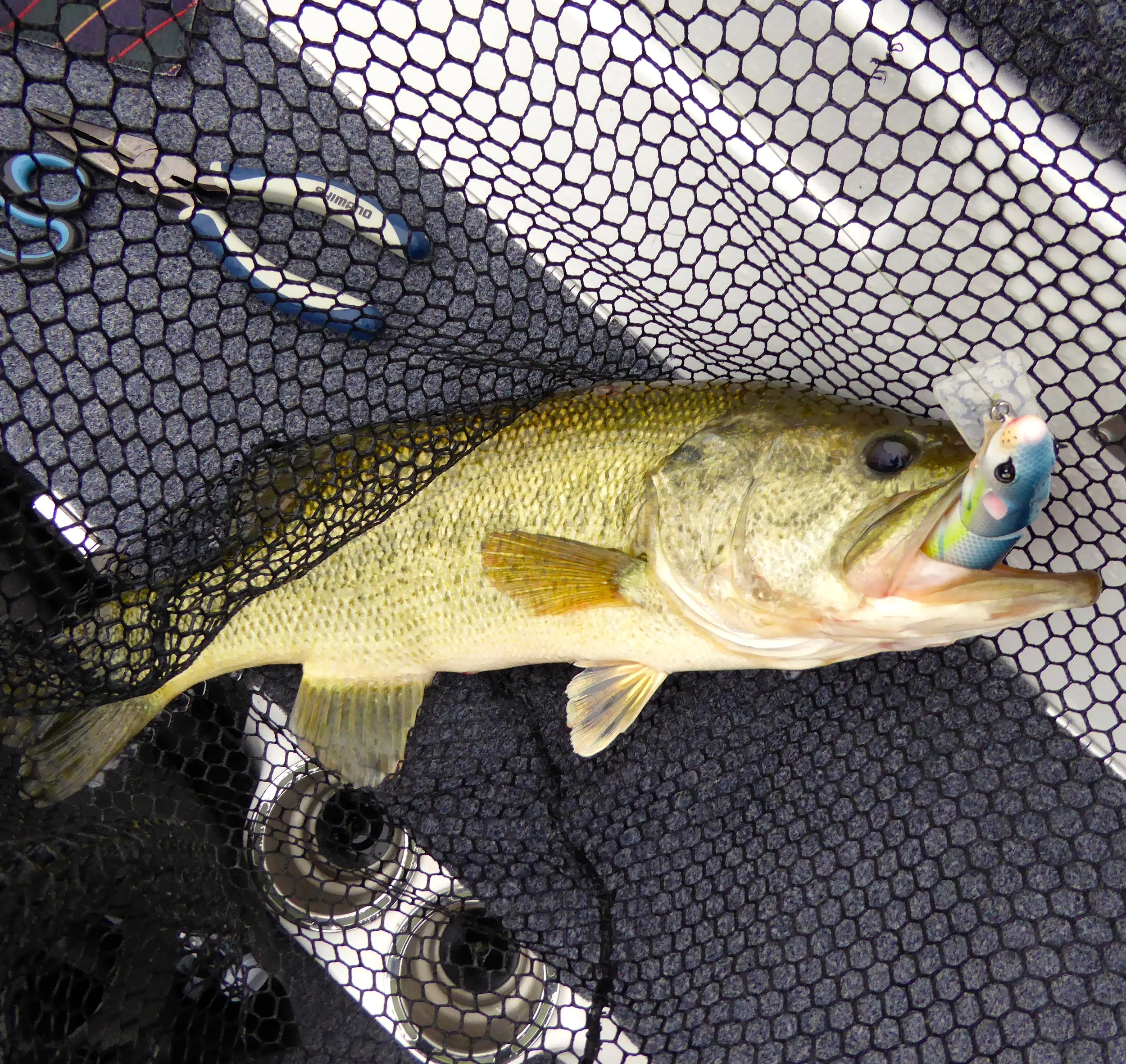 Can You Fish Uphill From Casting To The Bank And Fishing To Deep Water?