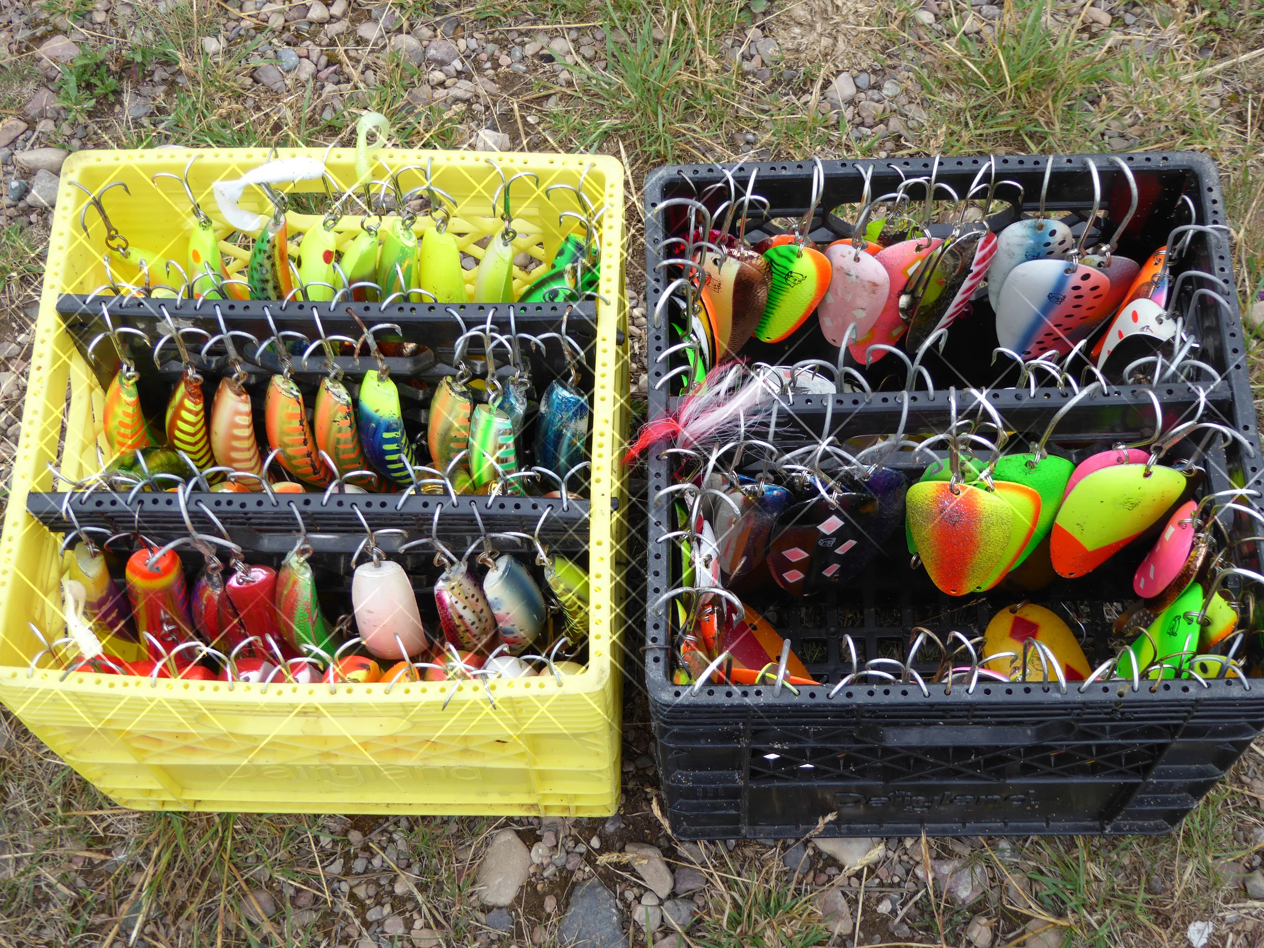 Great Bear Lake guide boxes: Flatfish on the left and Husky Delve spoons in the box on the right.