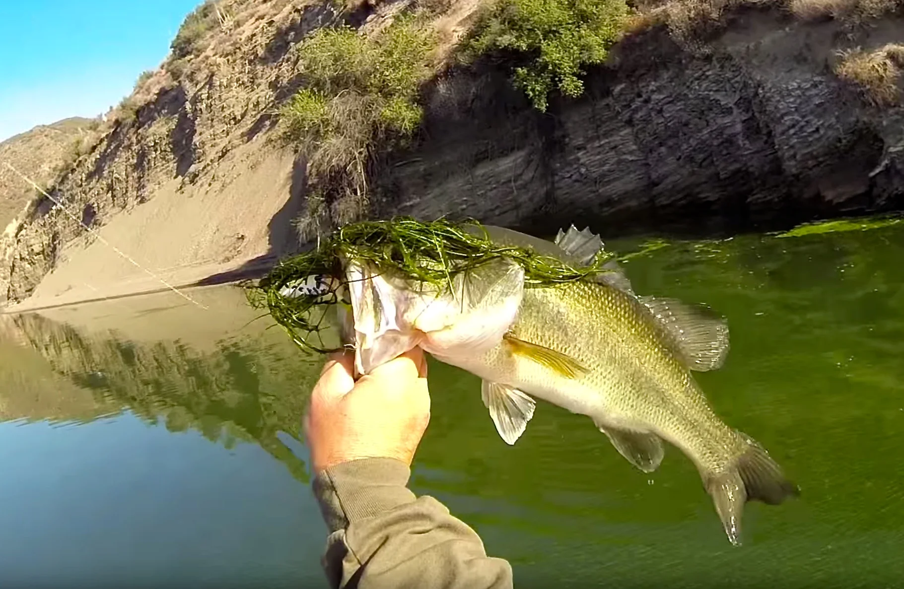 Don't Be A Fool, Use Your Tools.........At The Right Time