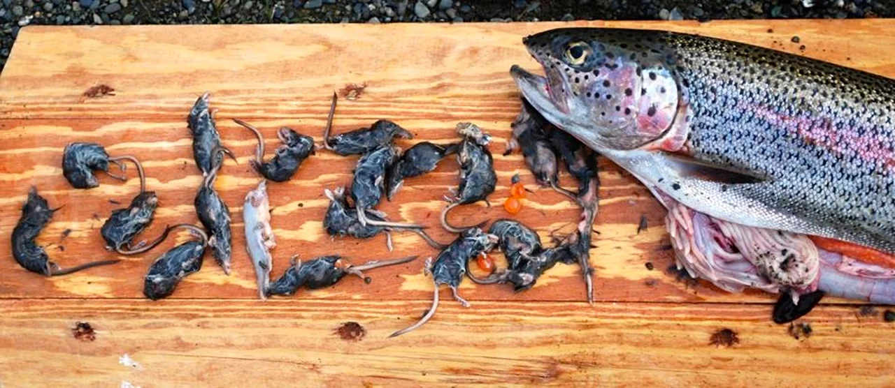 Photo Credit: Togiak National Wildlife Reserve