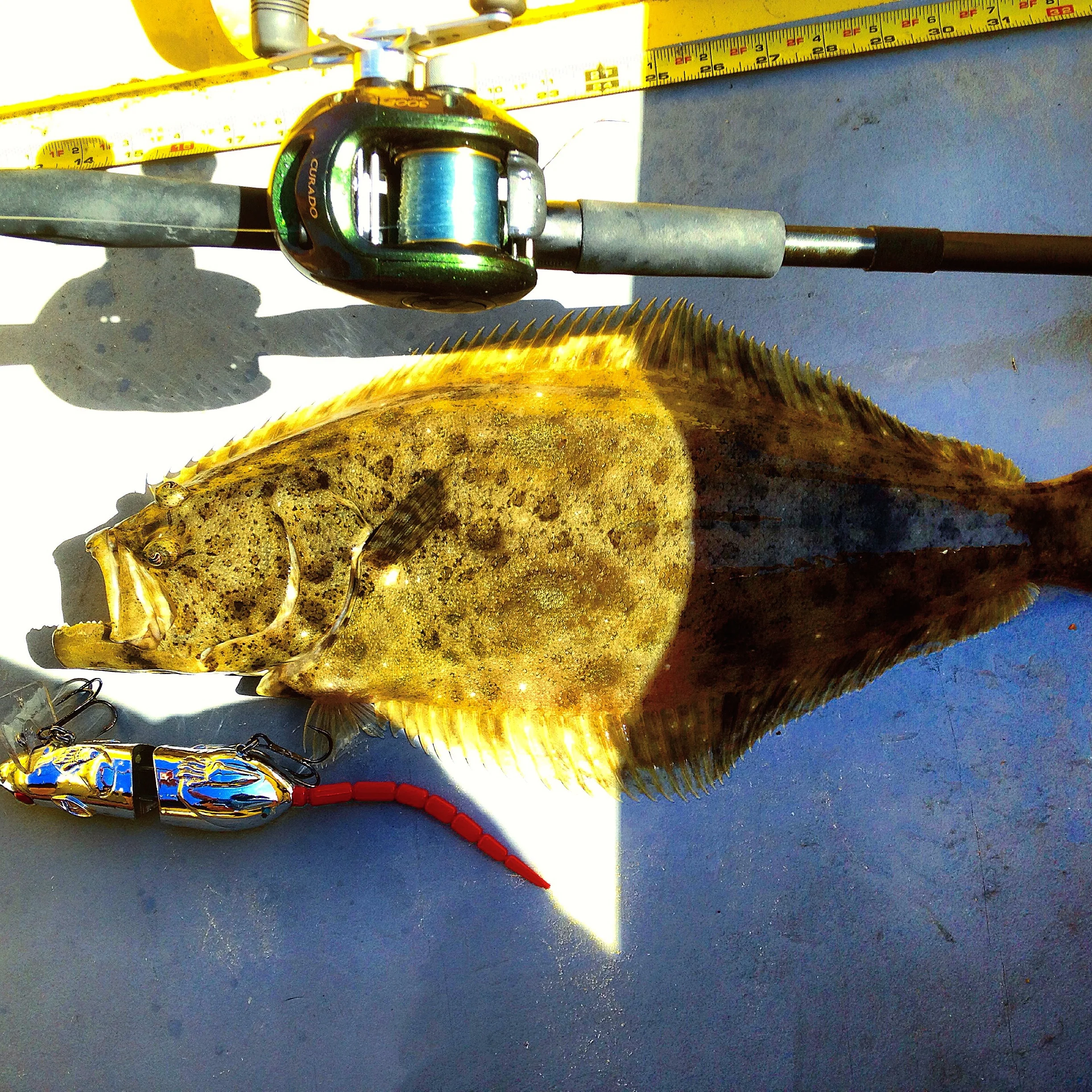 Photo Credit: Stan Kaplun: Halibut on the BBZ-1 Rat 50 in Chrome Color