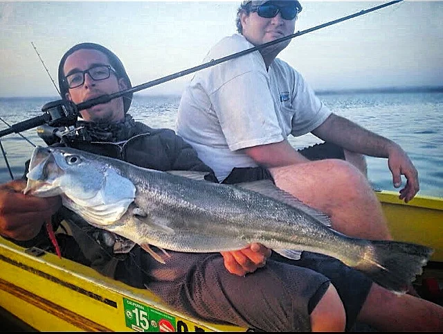 Photo Credit: Stan Kaplun: Corvina