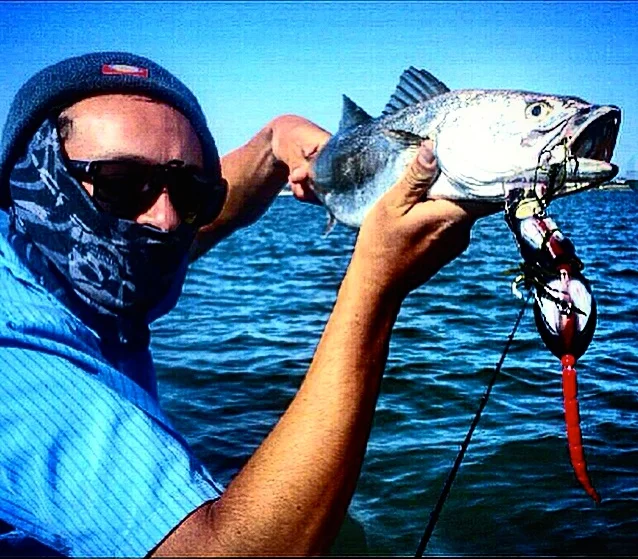 Photo Credit Stan Kaplun: Corvina
