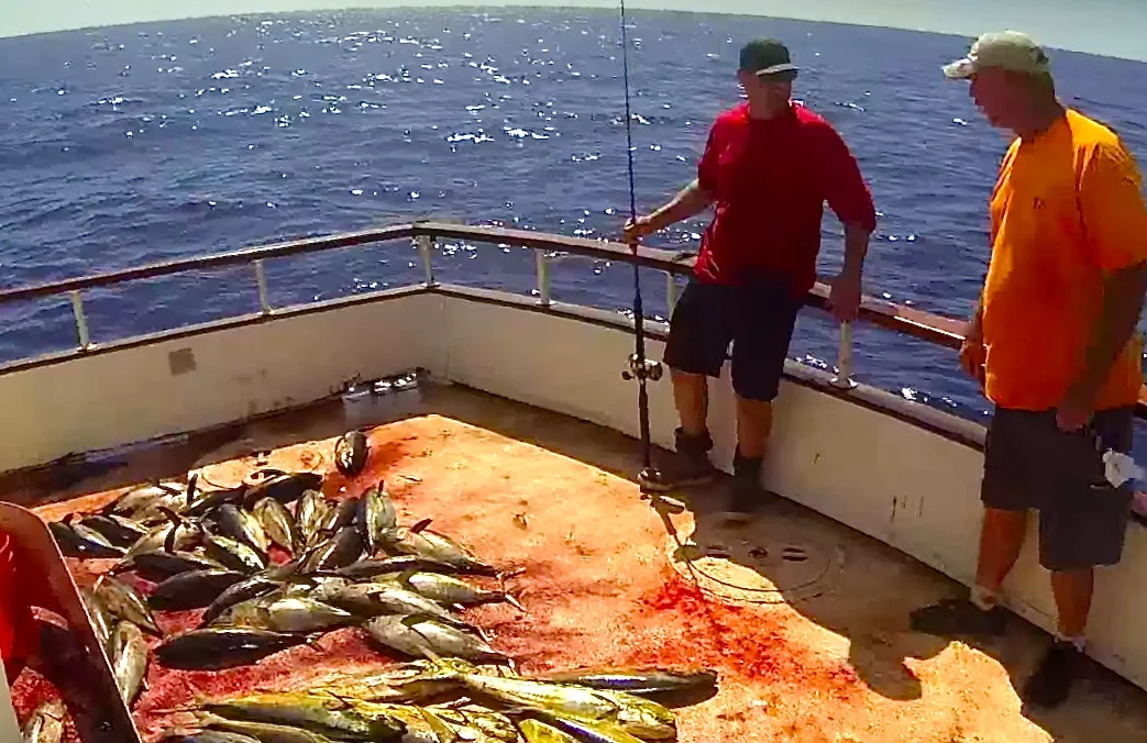 Coming Soon: Sea Adventure II "Battle At Sea"