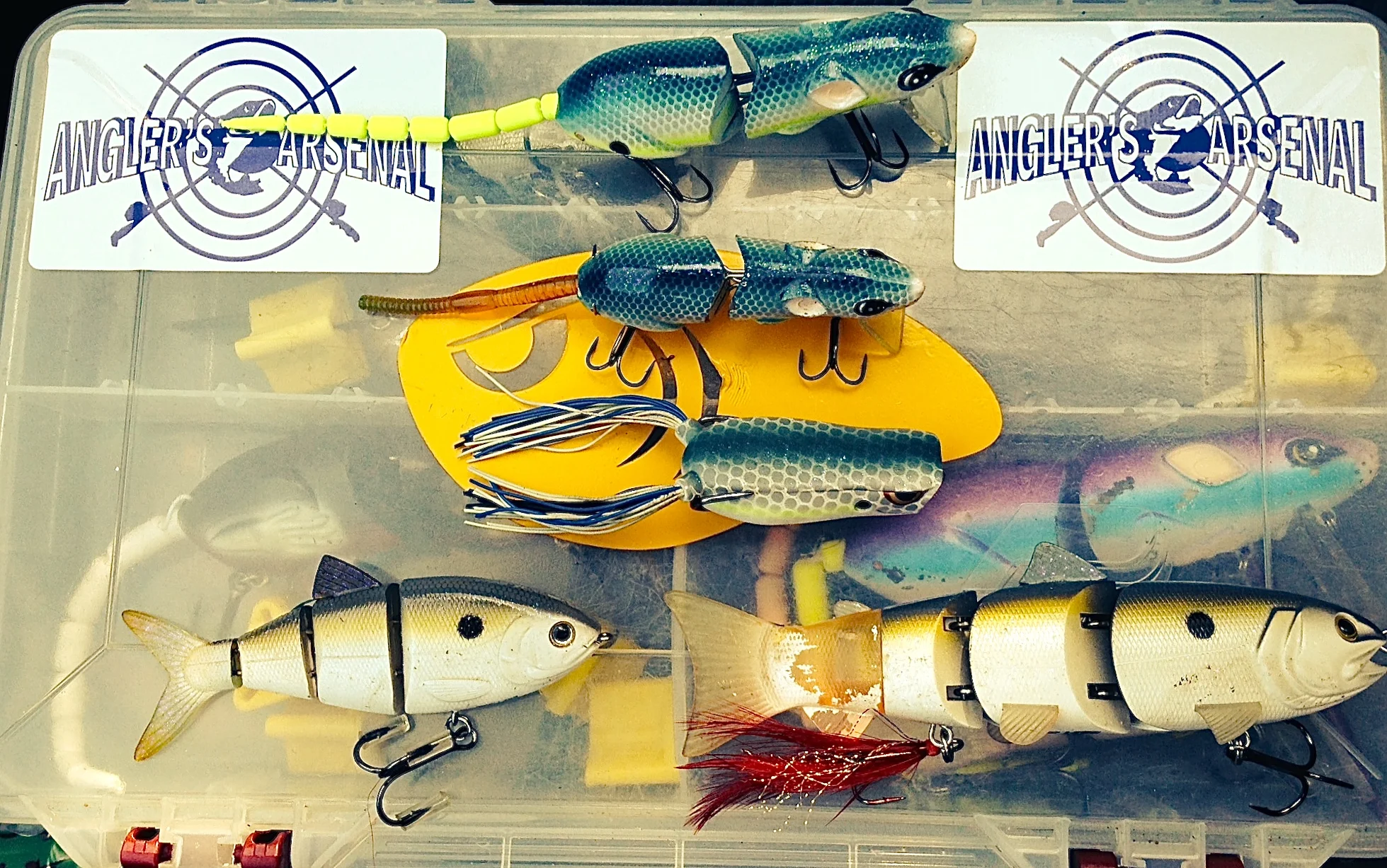 Got Shad? Stan Kaplun Does And A Dr. Visit Won't Help. RX BASS