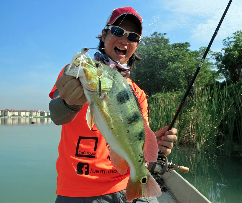 Pic. 2. The O.S.P High Pitcher is super-compact and my go-to spinnerbait for deep urban lakes.