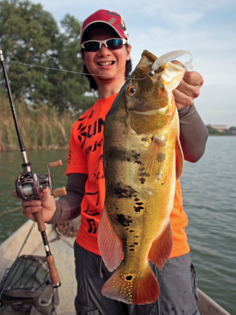  Pic. 5. My Prima Lake personal best came off a deep, sloping bank on a Keitech Easy Shiner 4”. This fish was caught near a metal barrel.