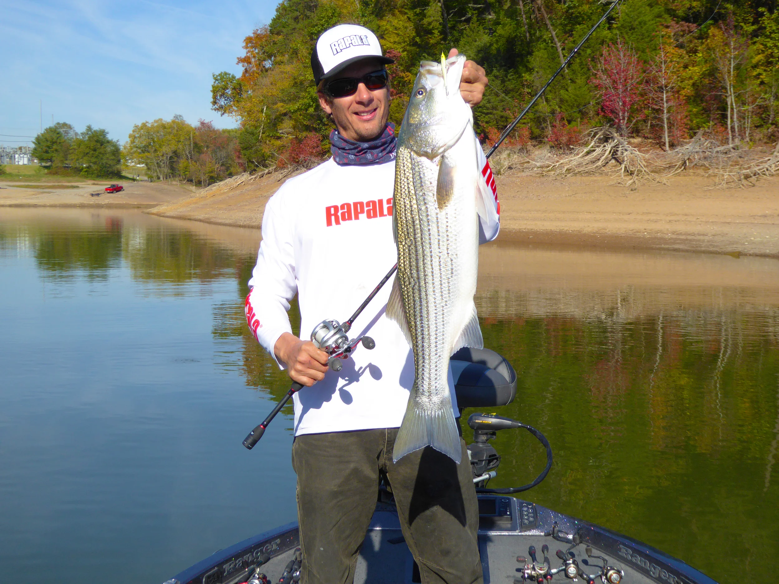 Excellent Cherokee Lake Striped Bass!