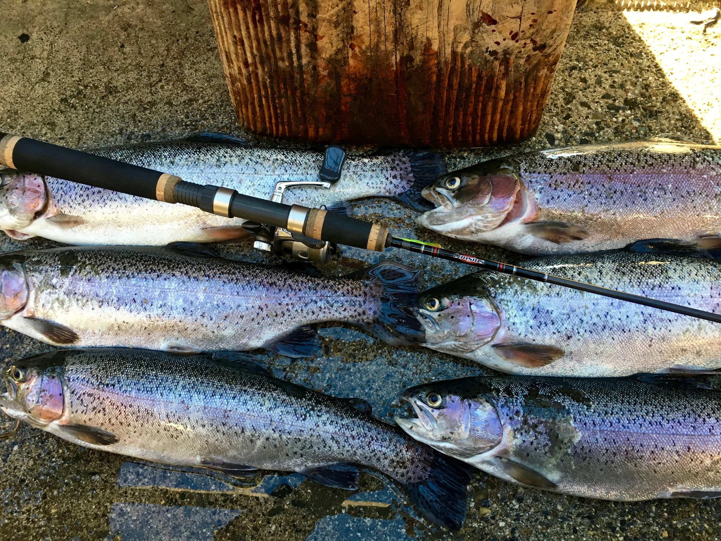 Stan Kaplun With The Local Trout Report In SD