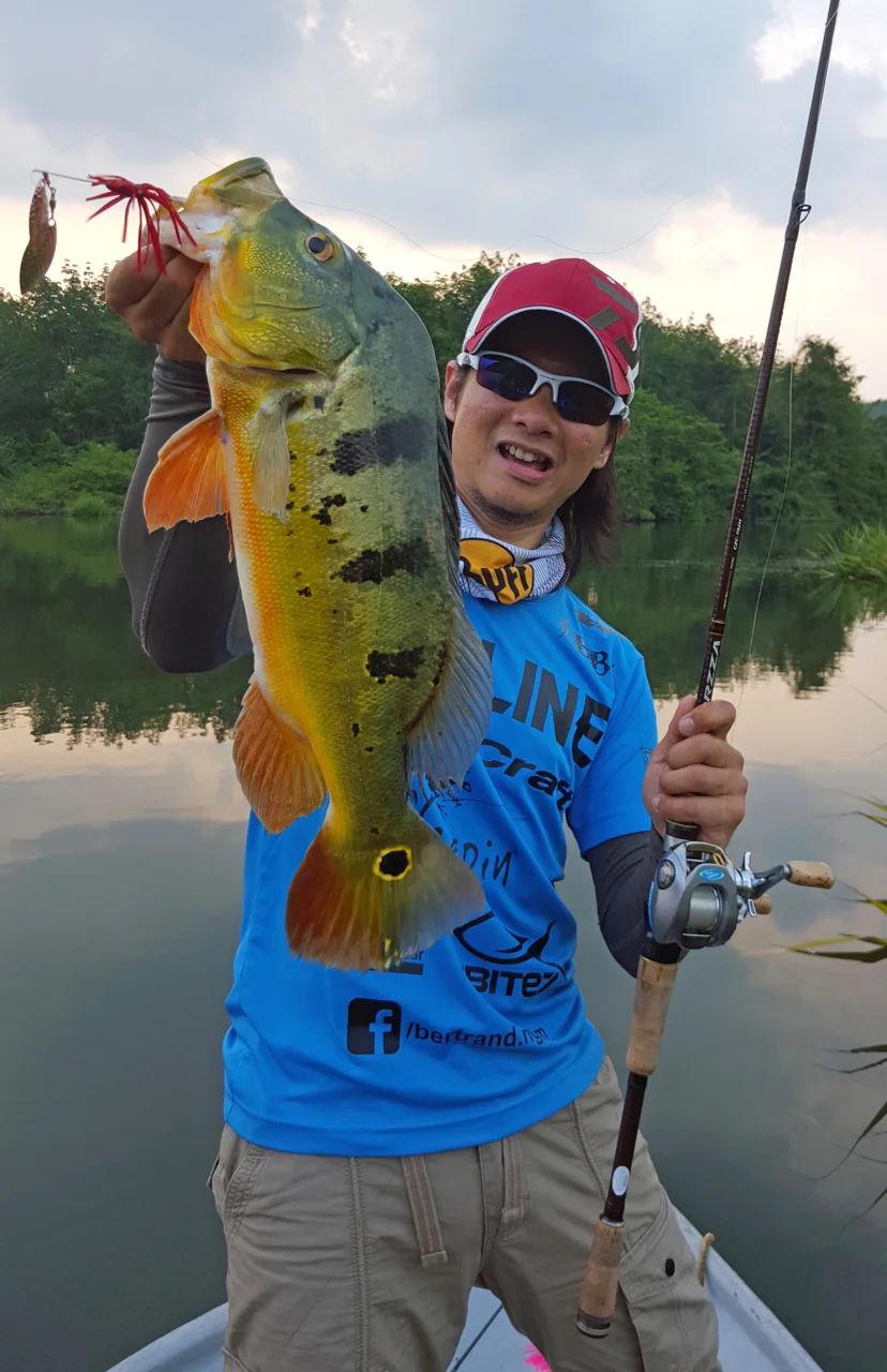 Spinnerbait Strategies For Peacock Bass: Air Kuning & Chenderoh Lake (Perak, Malaysia)