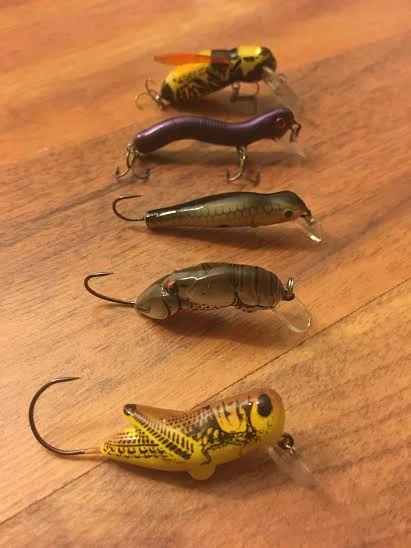 Small crankbaits will play a major role if the waters muddy, keep that in mind.