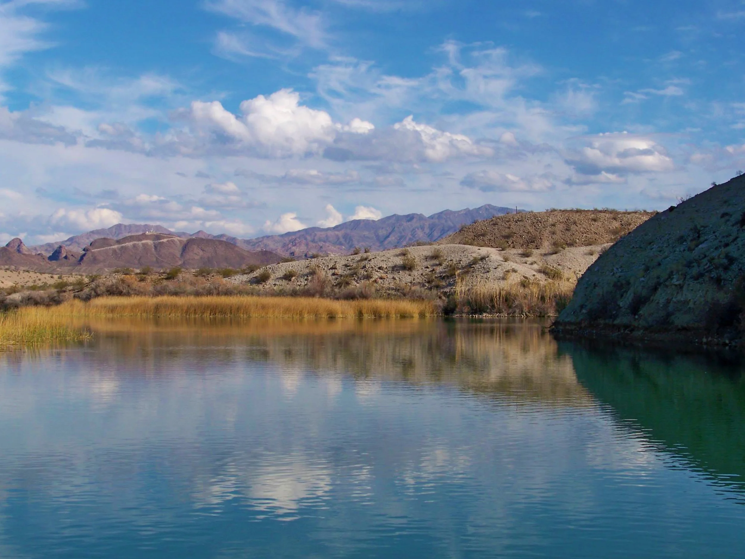 “Back Water” near Blankenship Valley on the Colorado River