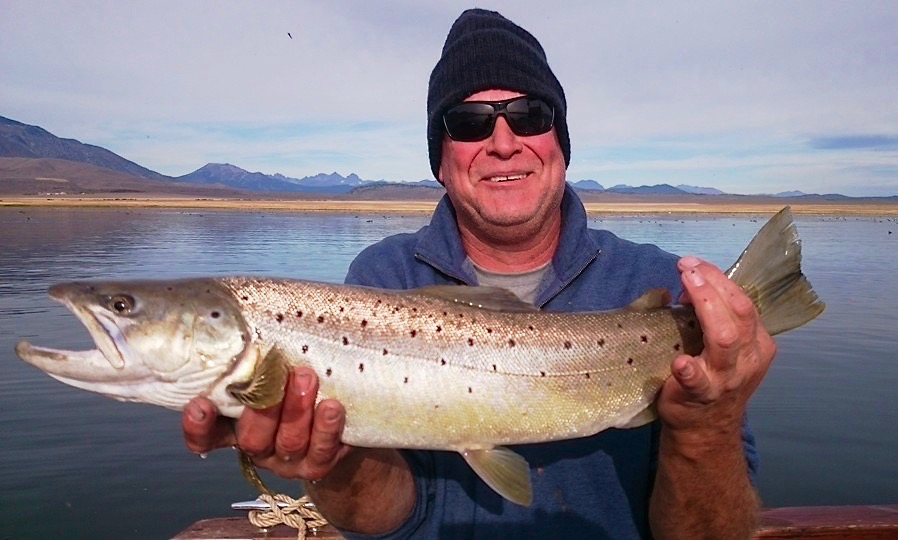 Here is another look at this killer Brown Trout!