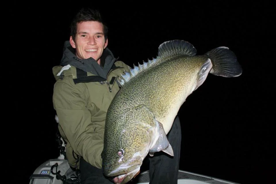 As you know, these are fresh water fish that crush the BBZ-1 rats!