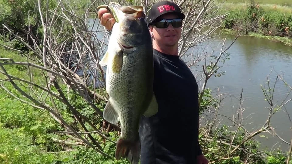 Bedding Delta Bass with YBFV