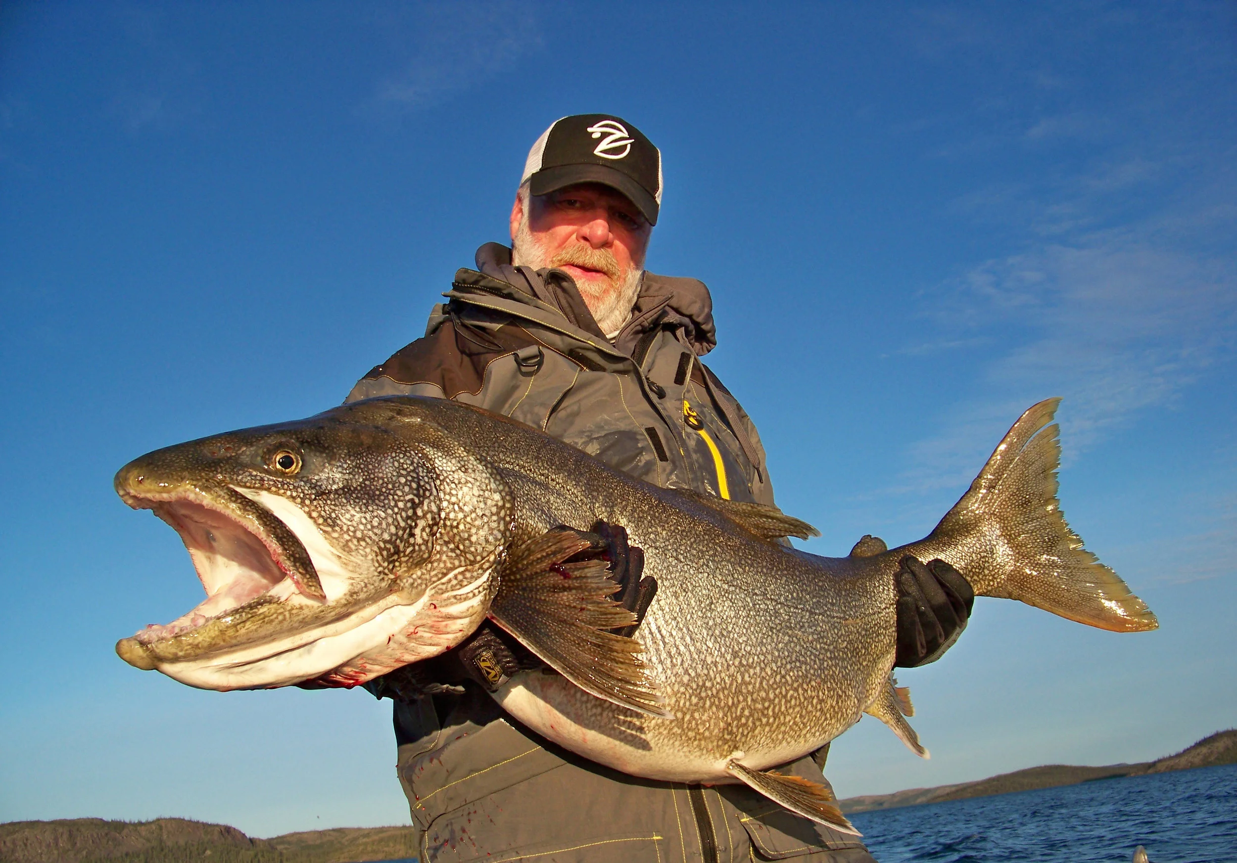 BBZ Writer at Large Derrek Stewart used the figure eight maneuver to trigger this giant following Lake Trout!