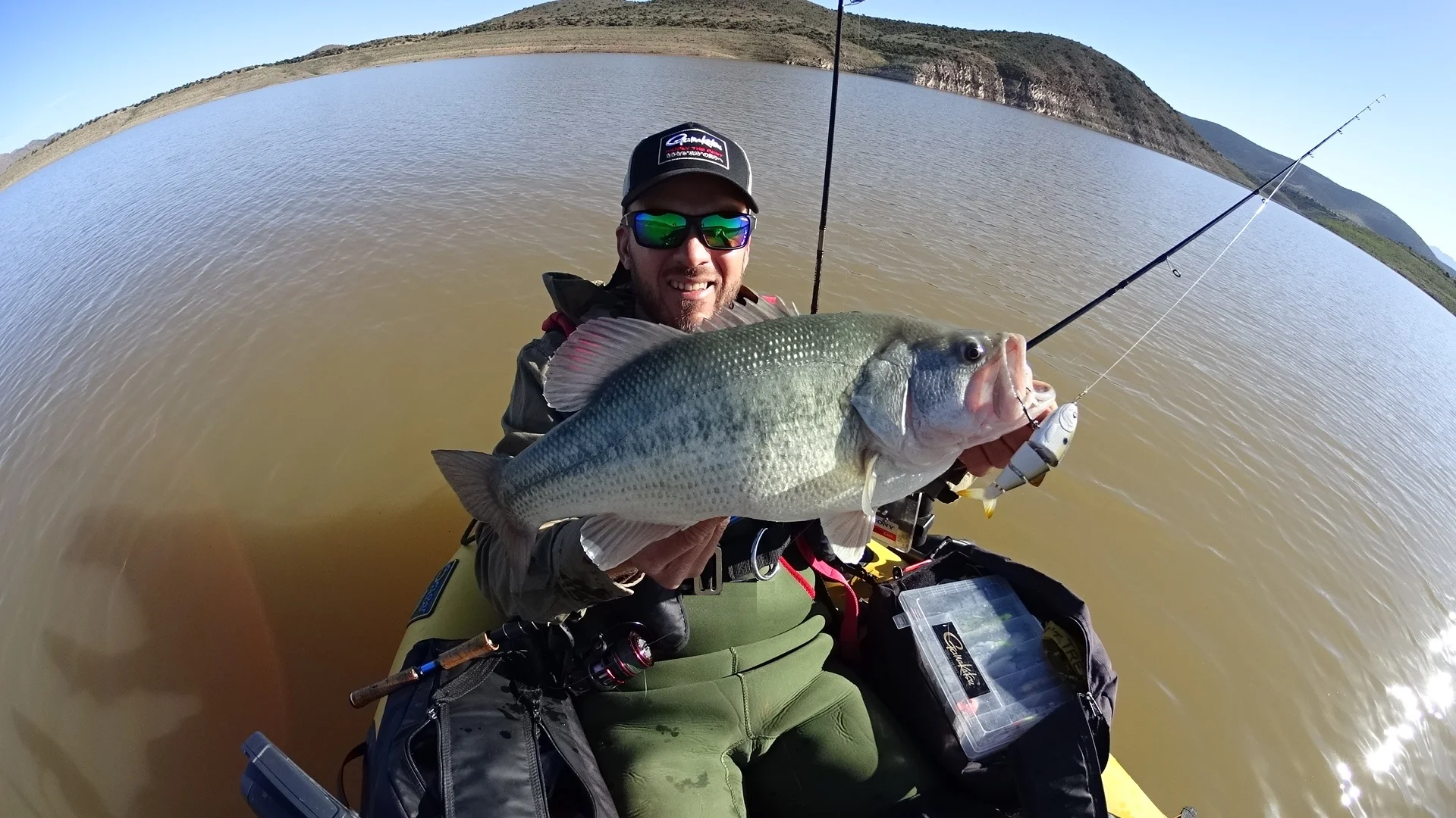 A 4” BBZ Shad fast sink sexy lavender pattern seduced another 5-pounder close to the bank in less than 1m water, which measured just over 20 in.
