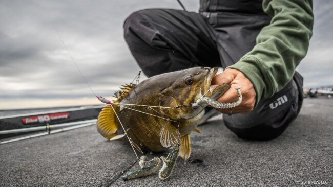 Umbrella Rigs for Great Lake Smallies — Welcome To The BBZ World - theBBZtv  - How to Catch Monster Bass & Other Fish - Fishing Videos & How-To - Bill  Siemantel