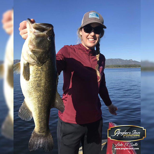 Anglers Inn International Fishing Report — Welcome To The BBZ World -  theBBZtv - How to Catch Monster Bass & Other Fish - Fishing Videos & How-To  - Bill Siemantel