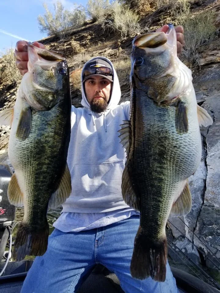 Local Angler, Eddie Guedikian Unlocks Swimbait Magic For His PB @ 13.05# and 6.75# 