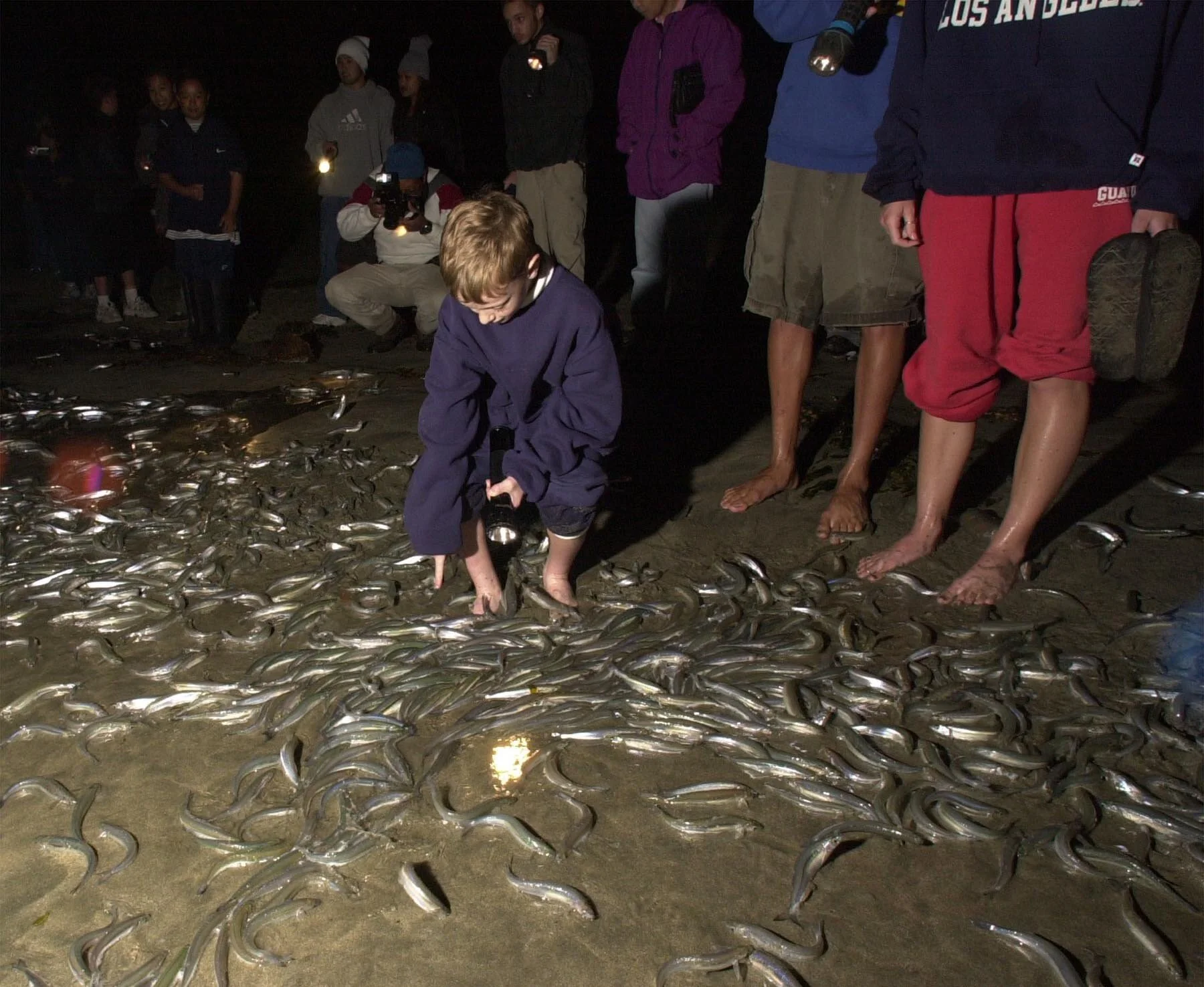 2021 Schedule of Expected California Grunion Runs 