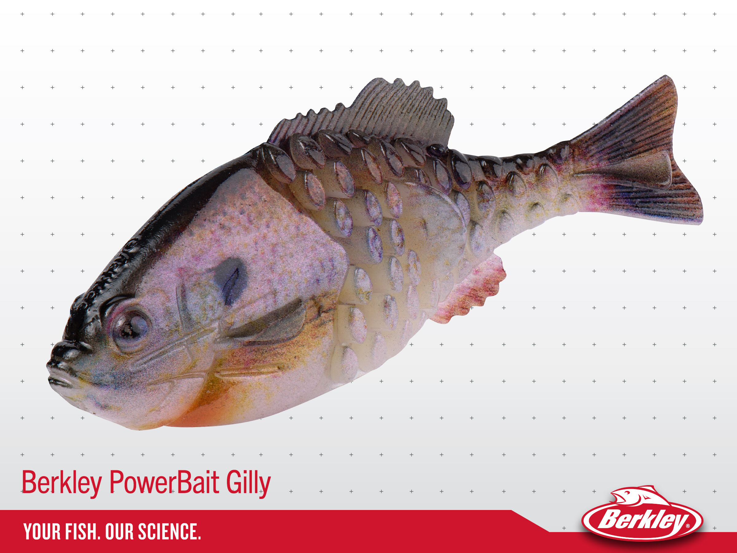 Berkley PowerBait Gilly Wins Best of Show at 2021 ICAST — Welcome