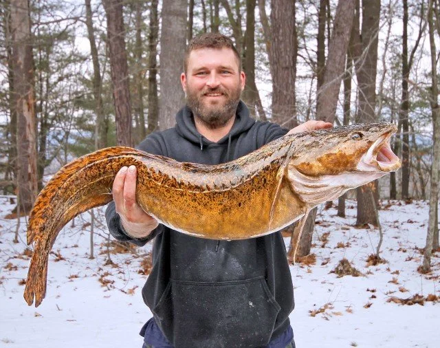 NEW STATE RECORD CUSK FROM NH