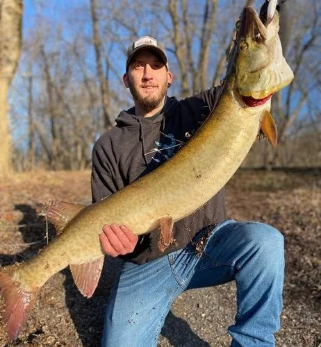 ANOTHER MEGA MUSKIE CAUGHT IN Maryland