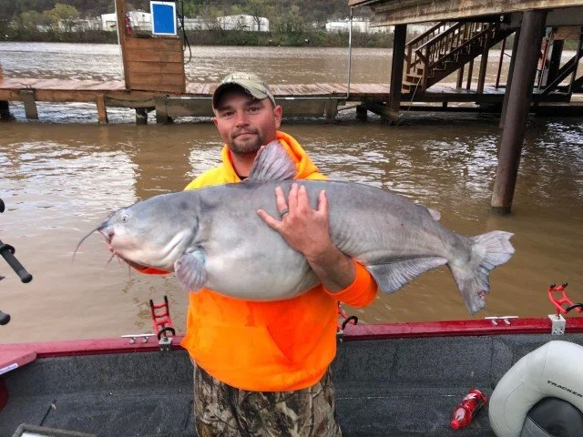 WEST VIRGINIA ANGLER BREAKS BLUE CATFISH RECORD
