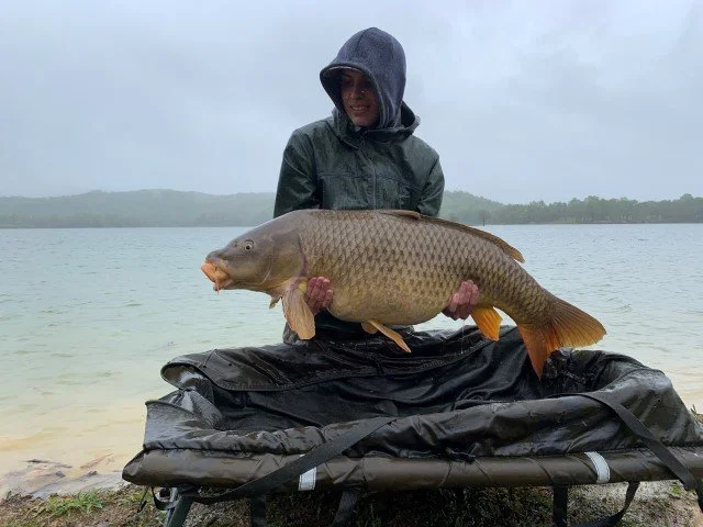 NEW STATE RECORD COMMON CARP CAUGHT