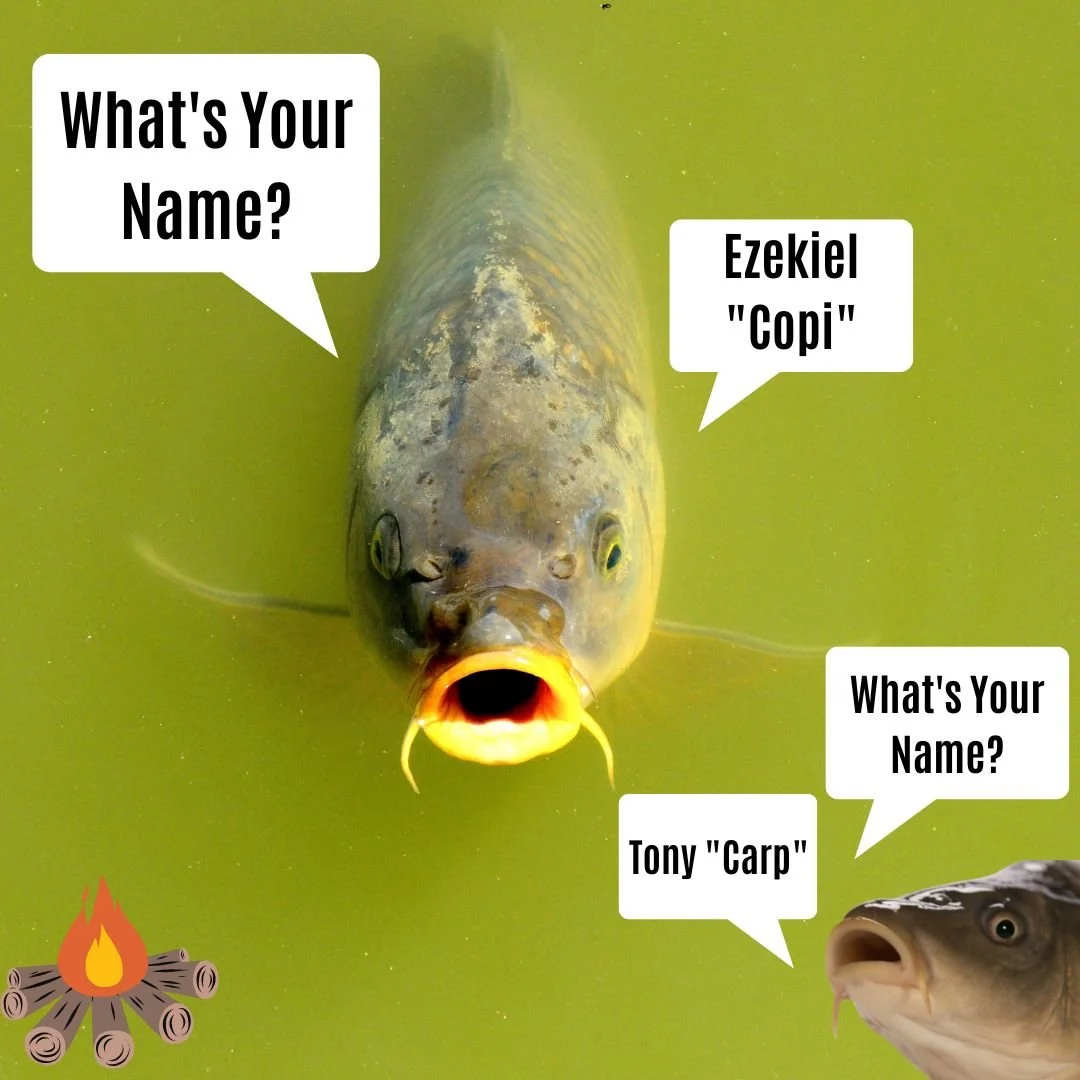 Will Renaming Carp Help Control Them?