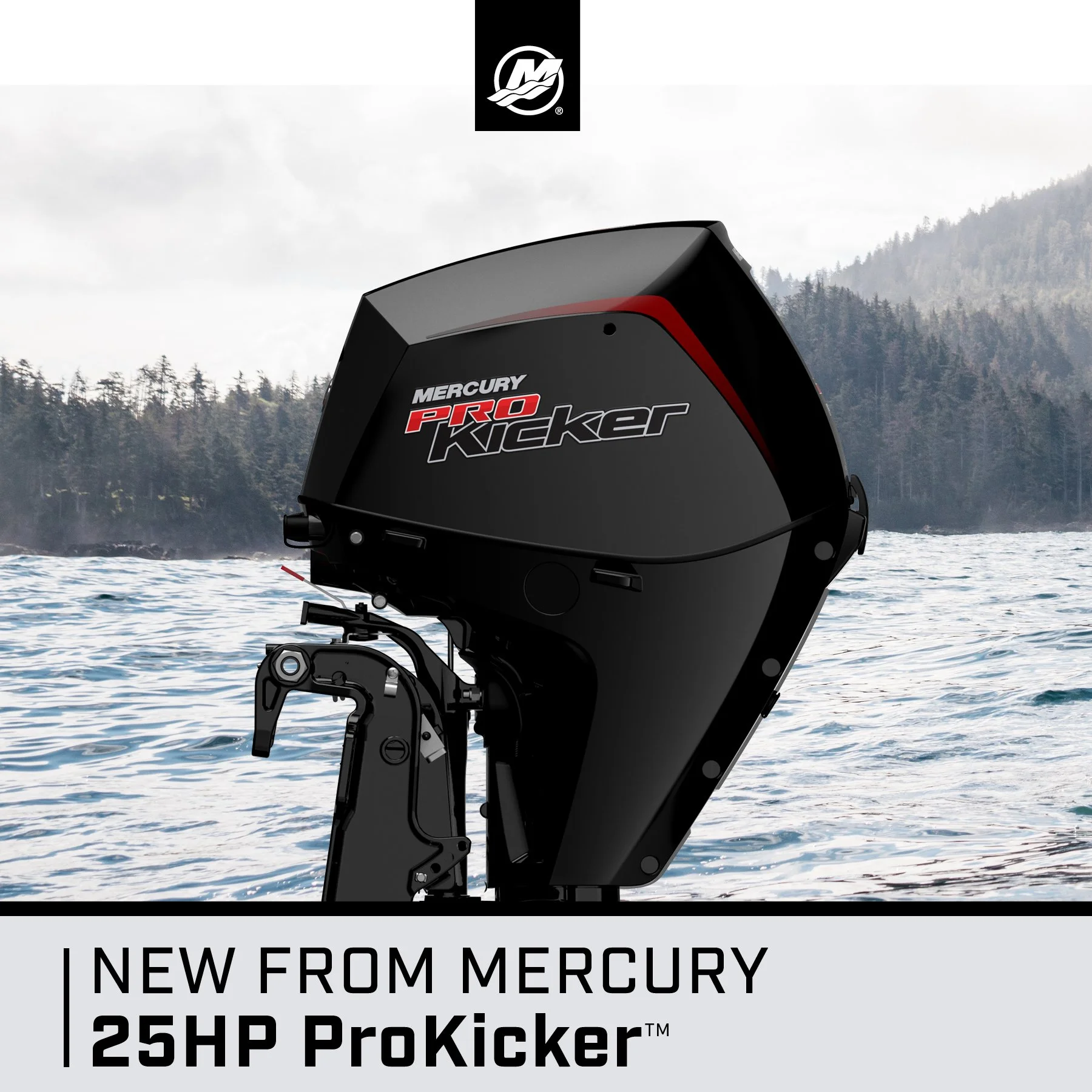 Mercury Introduces All-New 25 and 30hp Outboard Engines: From Mercury Dockline Blog