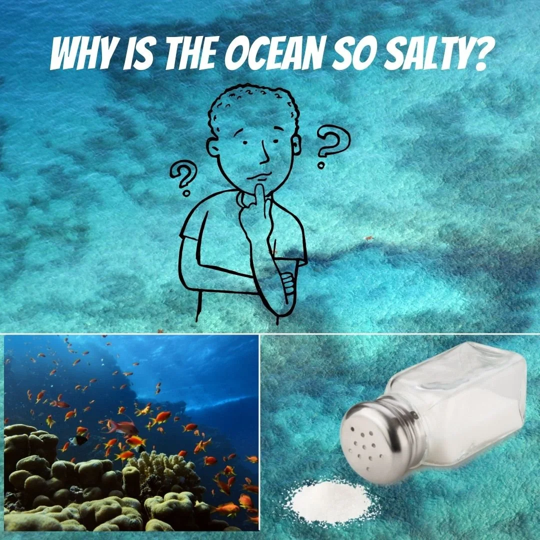 WHY IS THE OCEAN SALTY?