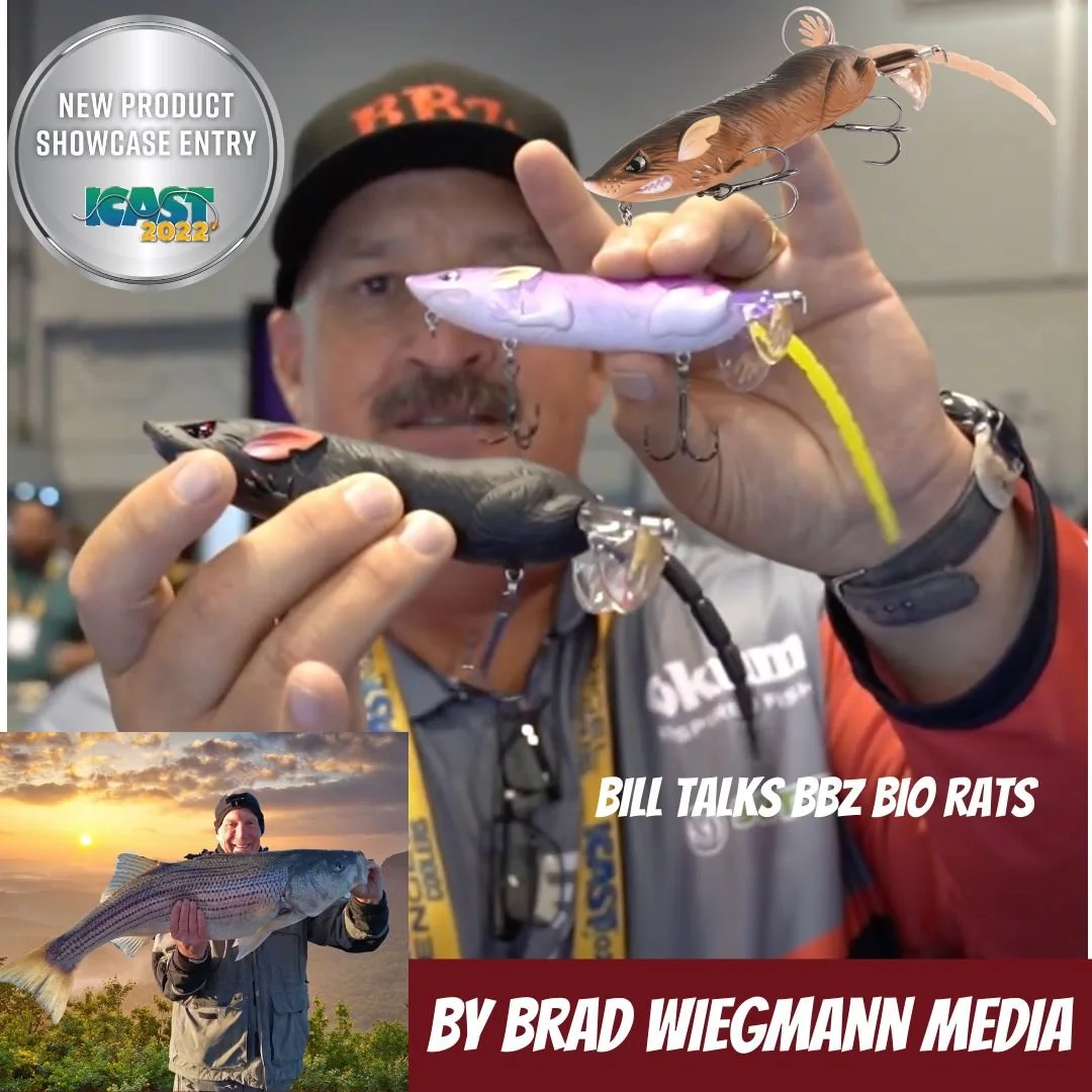 Bill Siemantel reveals more techniques for fishing the Fish Lab Tackle BBZ Bio-RAT at ICAST 2022 4 viewsJul 27, 2022
