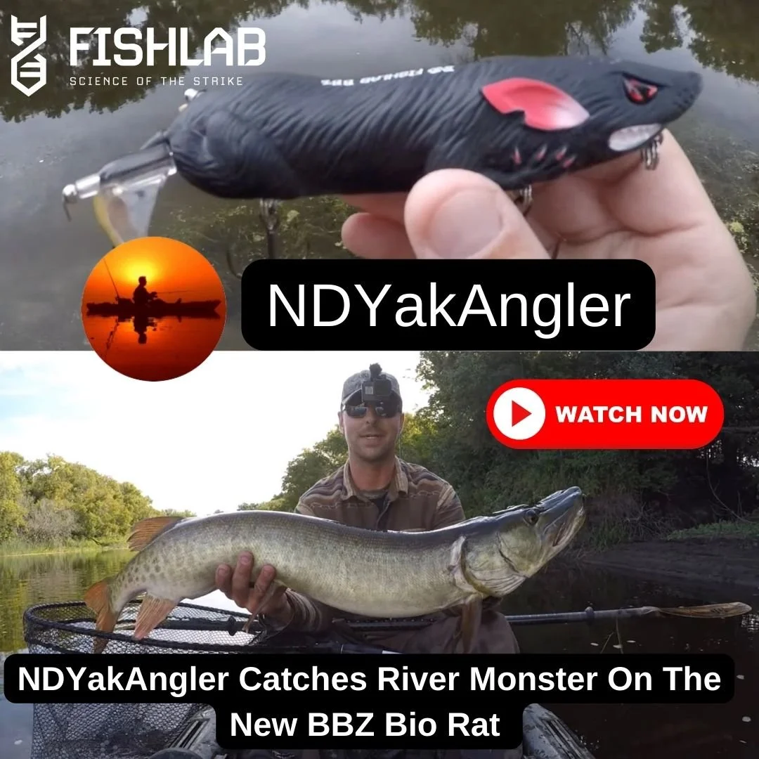 Breaking News: FishLab BBZ Bio Rat Lure Caught A River MONSTER!