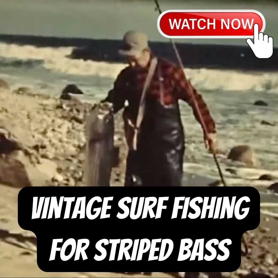 Vintage Surf Fishing for Striped Bass and Channel Bass - IGFA archives