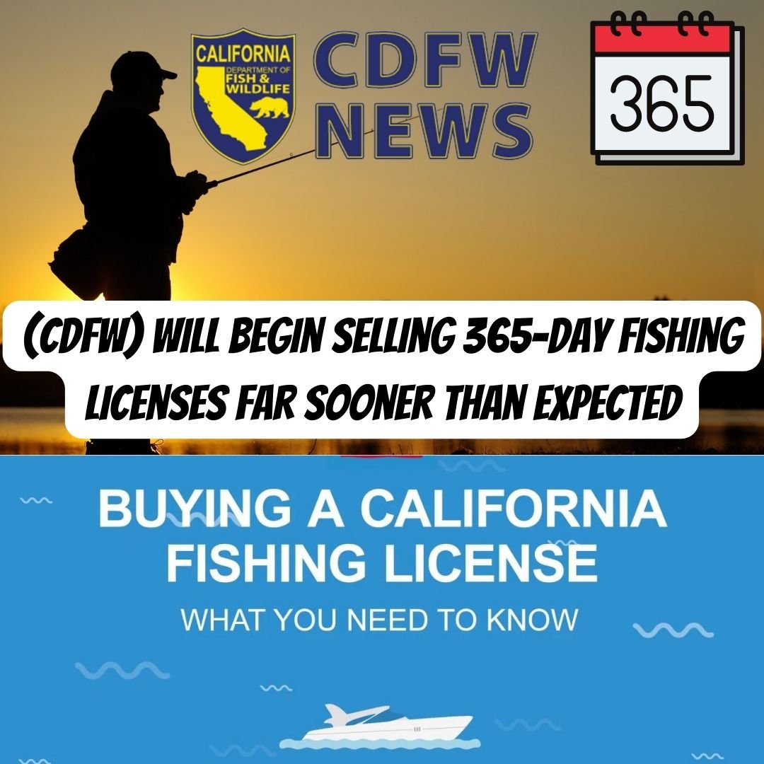 CDFW TO BEGIN OFFERING 365-DAY FISHING LICENSES FOR 2023