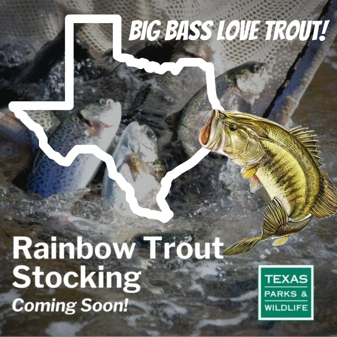 RAINBOW TROUT ARE ON THEIR WAY IN TEXAS... CAN YOU SAY BIGGER BASS?