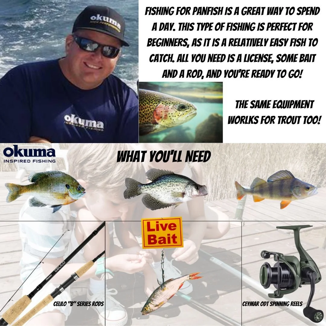 A Beginners Guide to Fishing for Panfish