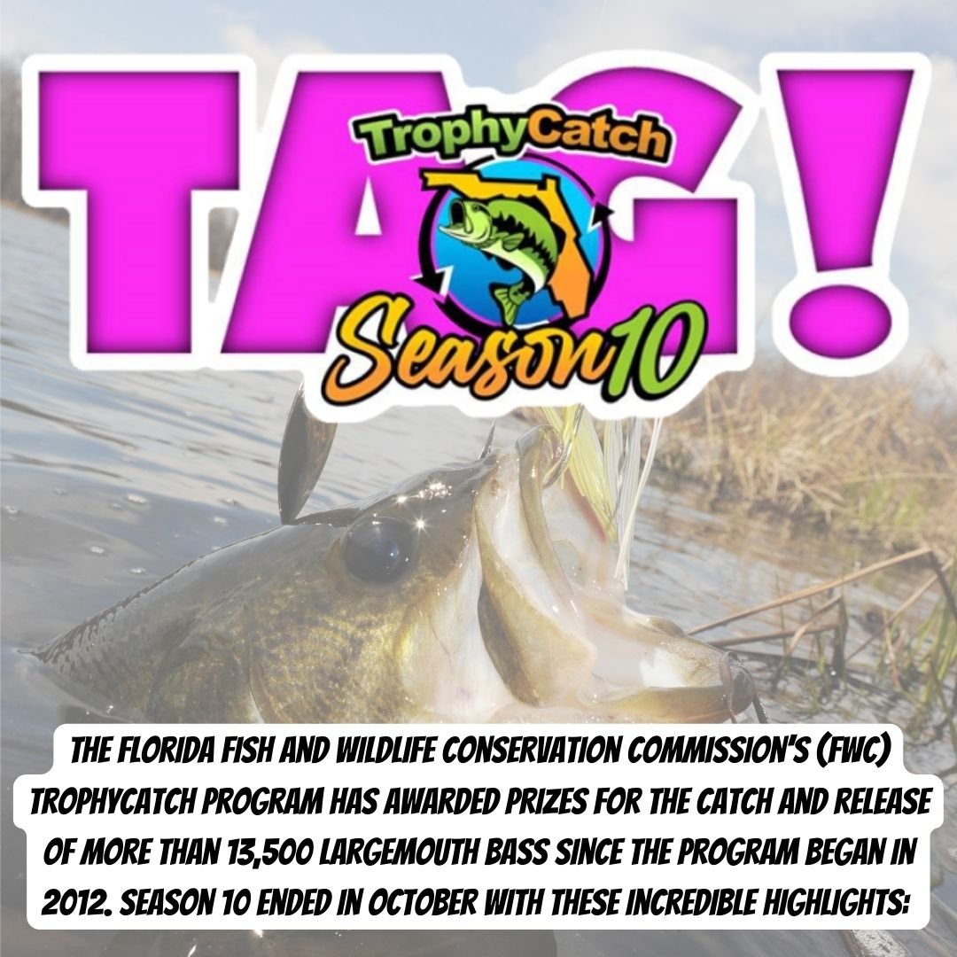 CELEBRATING ANOTHER SUCCESSFUL TROPHYCATCH SEASON