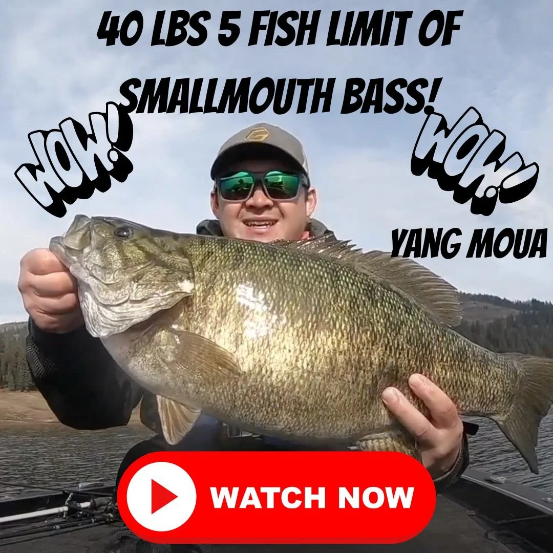 40lbs of Smallmouth!! *My Biggest Bag Ever!* YANG MOUA