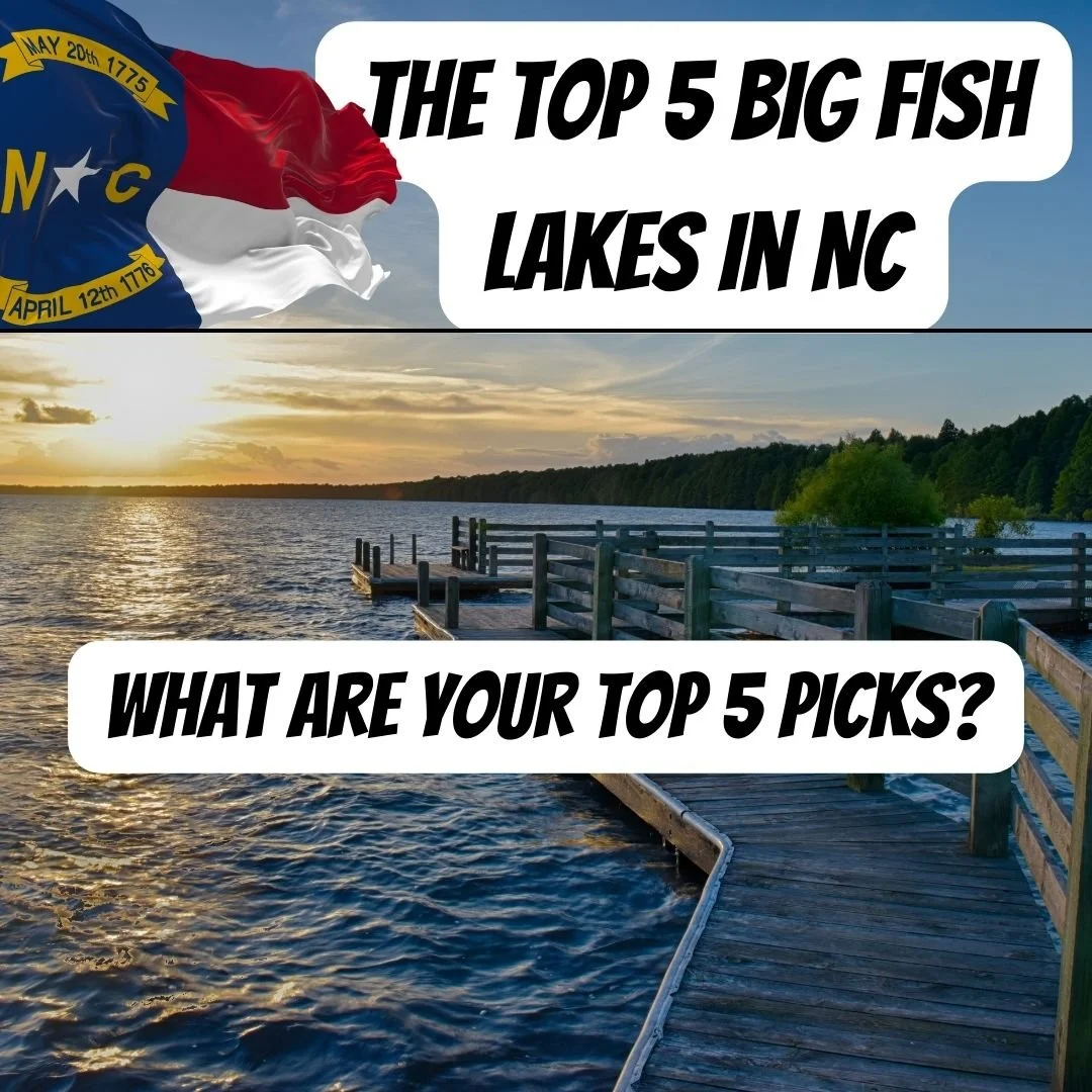 The Top 5 Big Fish Lakes in NC